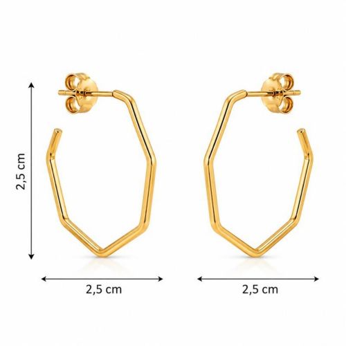 Brinco Argola Geom�trica 2.5 cm Banhado a Ouro