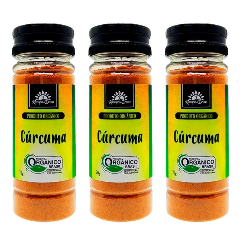 Comprar Kit 3 Cúrcuma Longa Pura Orgânica Açafrão Terra 70Gr Kampo