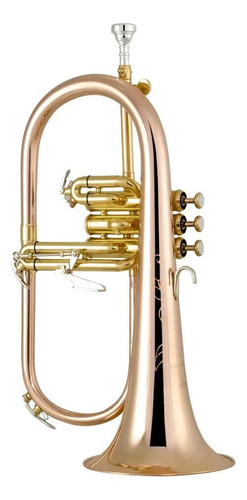 Comprar Sax Soprano Reto TOKAI TSS-300GP Sib - a partir de R$6.680,70