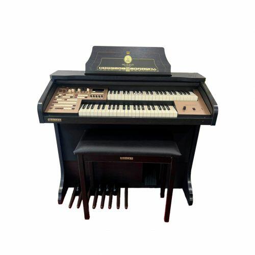 Comprar Órgão Eletrônico Organist YX-3 Wengue