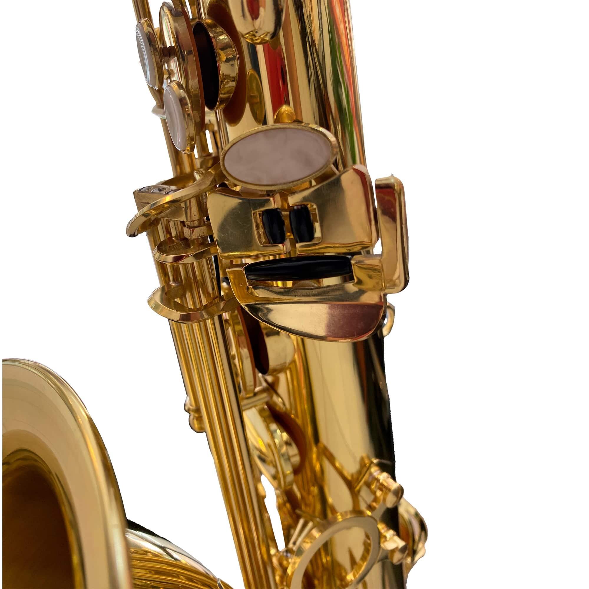 Comprar Saxofone Tenor Tokai TST-200L SIB Laqueado - a partir de R