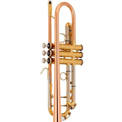 Comprar Sax Soprano Tokai Niquelado / Laqueado TSS-200NL - a