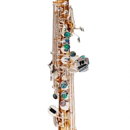 Comprar Sax Soprano Tokai Reto Tudel Fixo Sib TSS-300GP Dourado