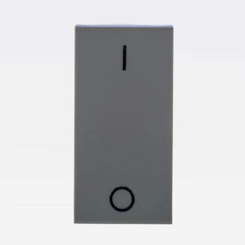 M�dulo Interruptor Bipolar Simples PIAL Plus+ 10A 250V Cinza Legrand 612005CZ