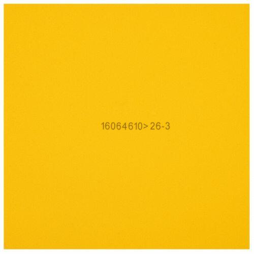 Borracha Gold Arc 8 47.5� - DHS