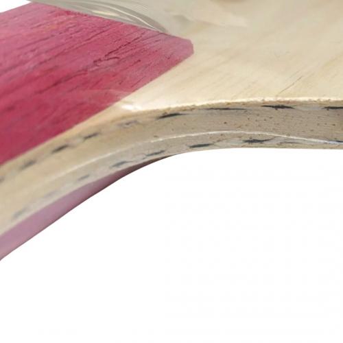 Madeira Fang Bo B2X Carbon - DHS