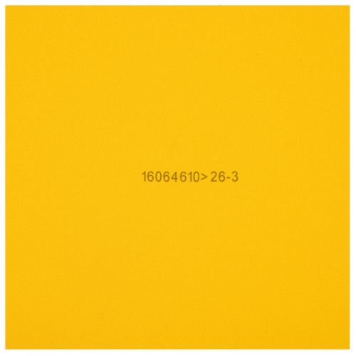 Borracha Gold Arc 8 50� - DHS