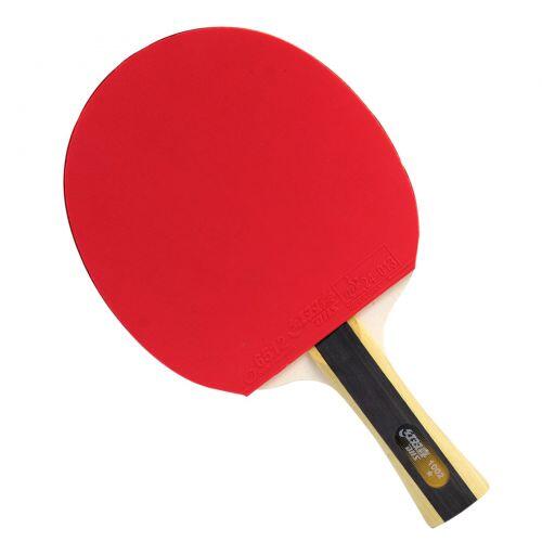 Raquete de Ping Pong Clássica 1002 com Capa - DHS