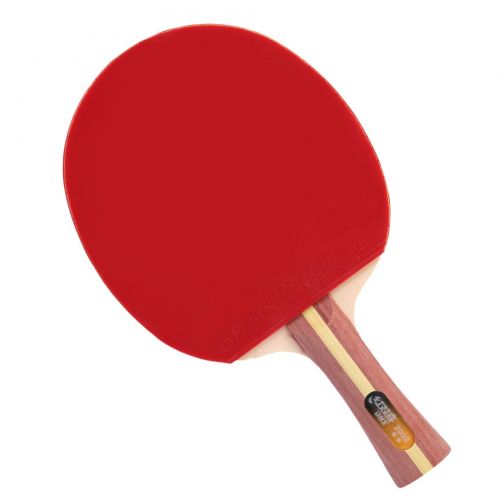 Raquete de Ping Pong Cl�ssica 2002 com Capa - DHS