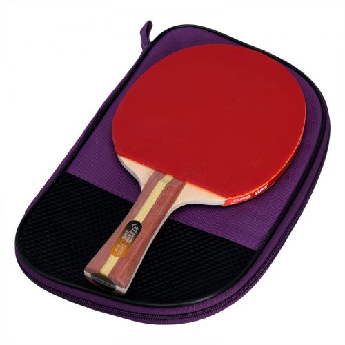 Raquete de Ping Pong Clássica 2002 com Capa - DHS