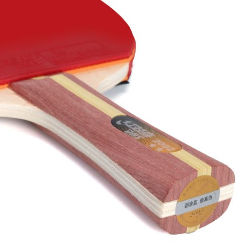 Raquete de Ping Pong Clássica 2002 com Capa - DHS