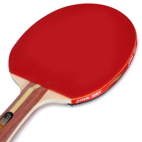 Raquete de Ping Pong Clássica 2002 com Capa - DHS
