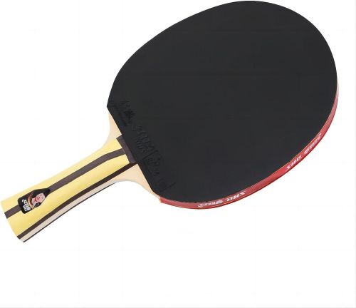 Raquete de Tênis de Mesa Clássica 4002 com Capa - DHS