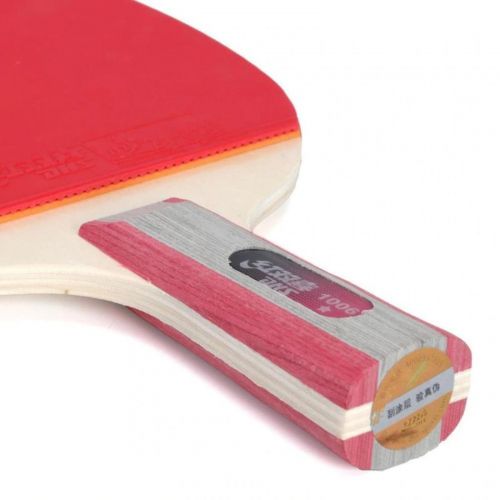 Raquete de Ping Pong Classineta 1006 com Capa - DHS