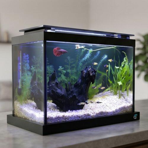 Comprar Aquário 24 Litros Quili Blackbox Q-24 com Luminária Led