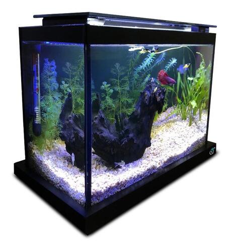 Comprar Aquário 24l Quili Blackbox Q-24 + Filtro + Decoração