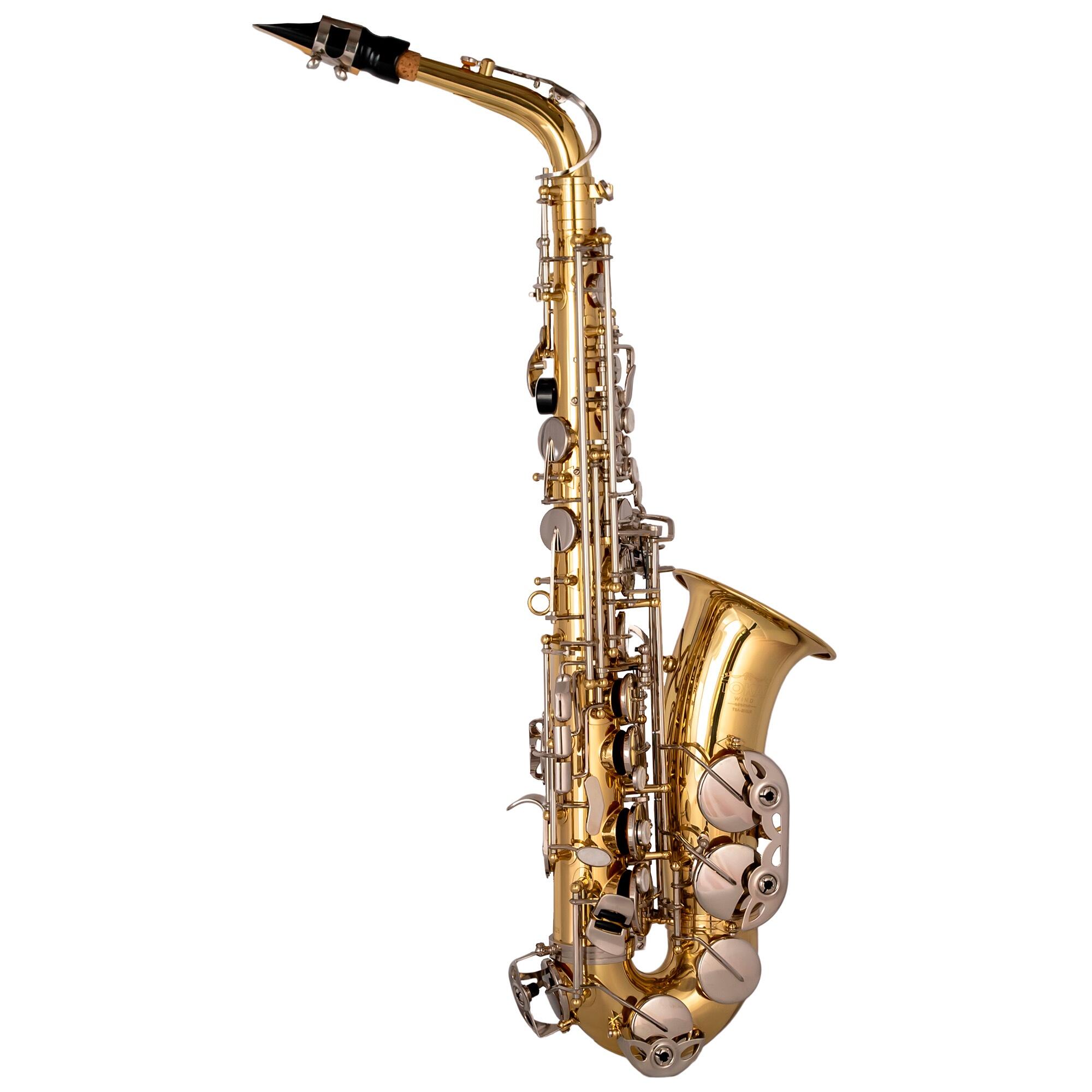 Comprar Sax Alto Tokai Niquelado / Laqueado TSA-200NL - a partir