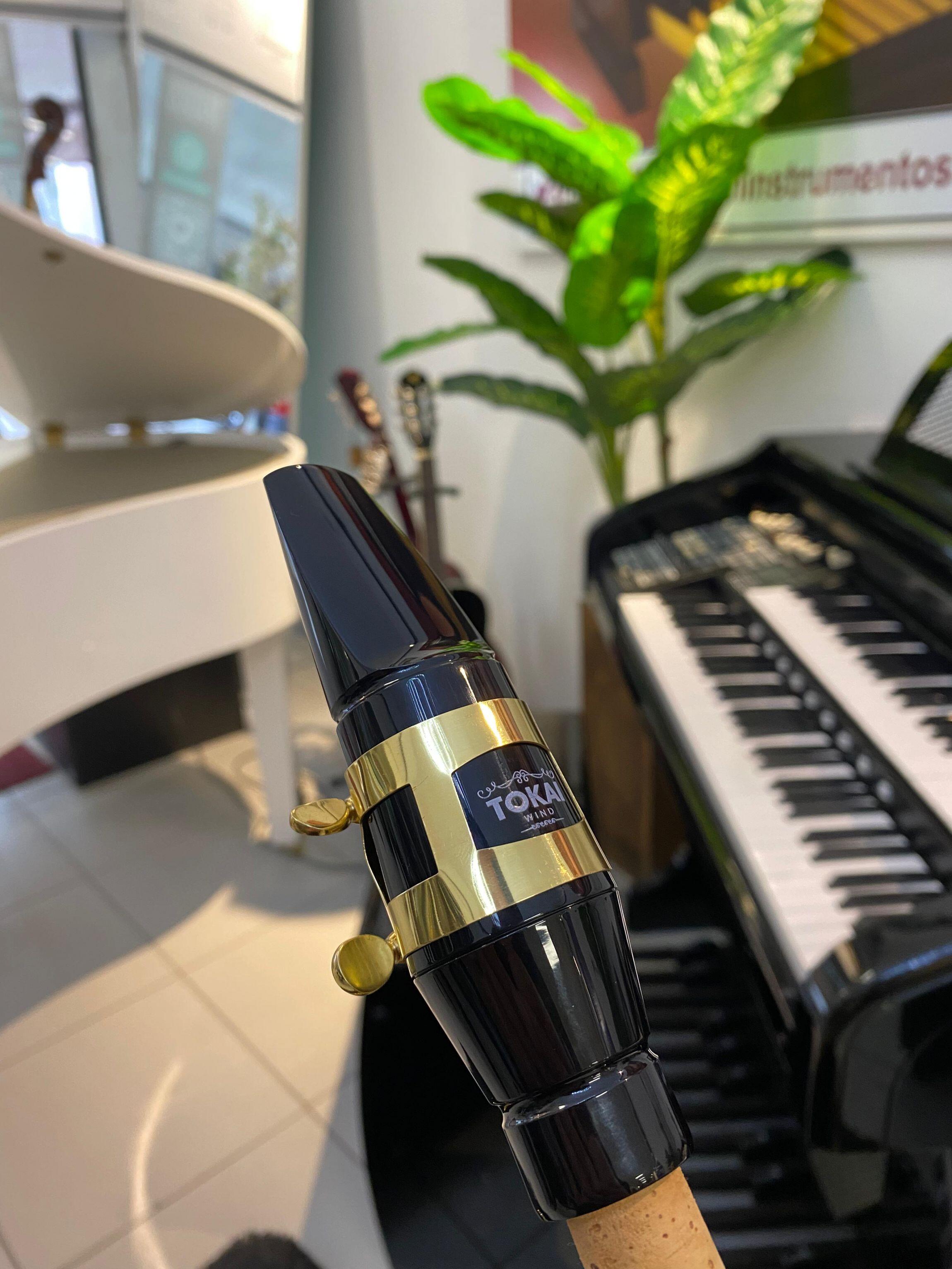 Comprar Sax Baritono Tokai TSB-200L Laqueado - a partir de R$20.533,49