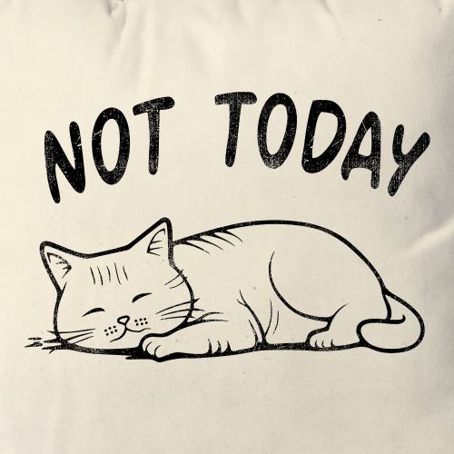 Almofada Not Today