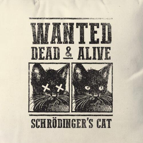 Almofada Schr�dinger's Cat