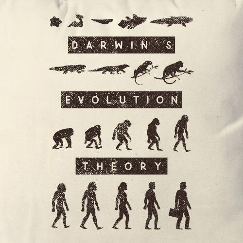 Almofada Teoria Da Evolução