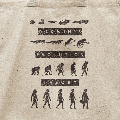 Ecobag Teoria Da Evolução