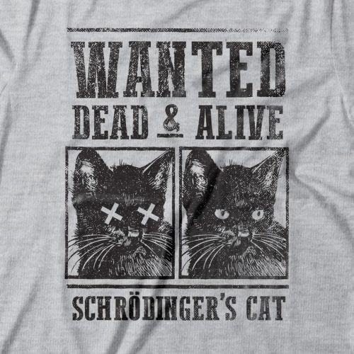 Moletom Schrödinger's Cat
