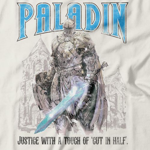 Moletom Com Capuz Paladin