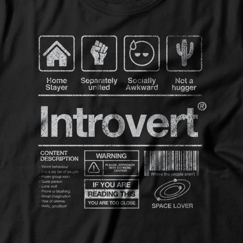 Camiseta Feminina Introvertido