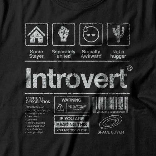 Camiseta Introvertido