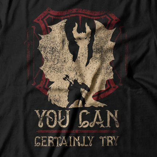 Camiseta Can Certainly Try