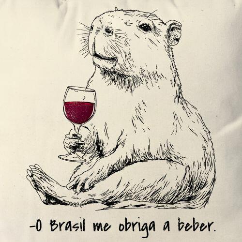 Almofada O Brasil Me Obriga a Beber