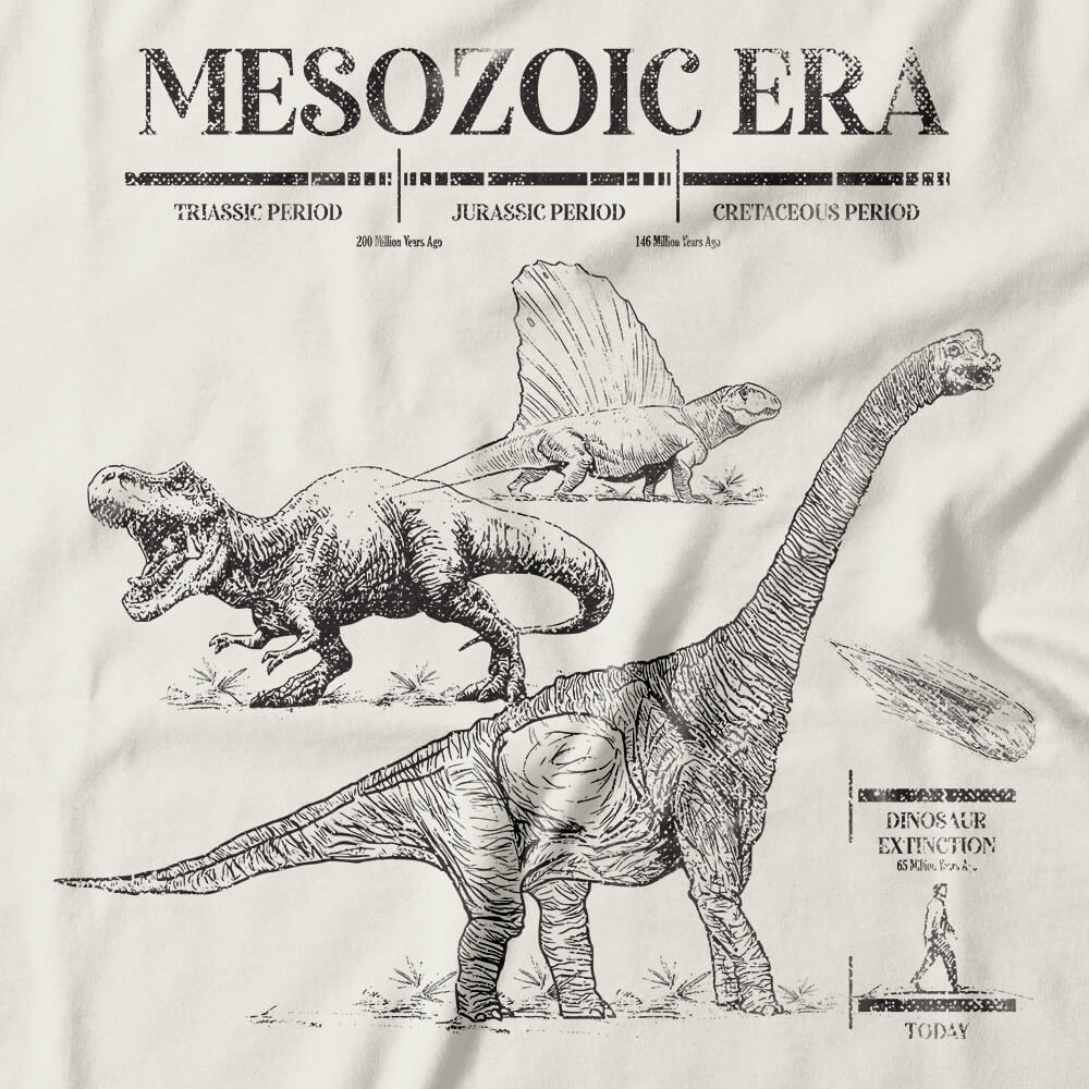 Camiseta Feminina Mesozoic Era