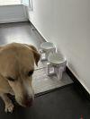 Avalia��o de Cristiane Moura - Foto 40