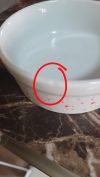 Avalia��o de Andr� Branco - Foto 16