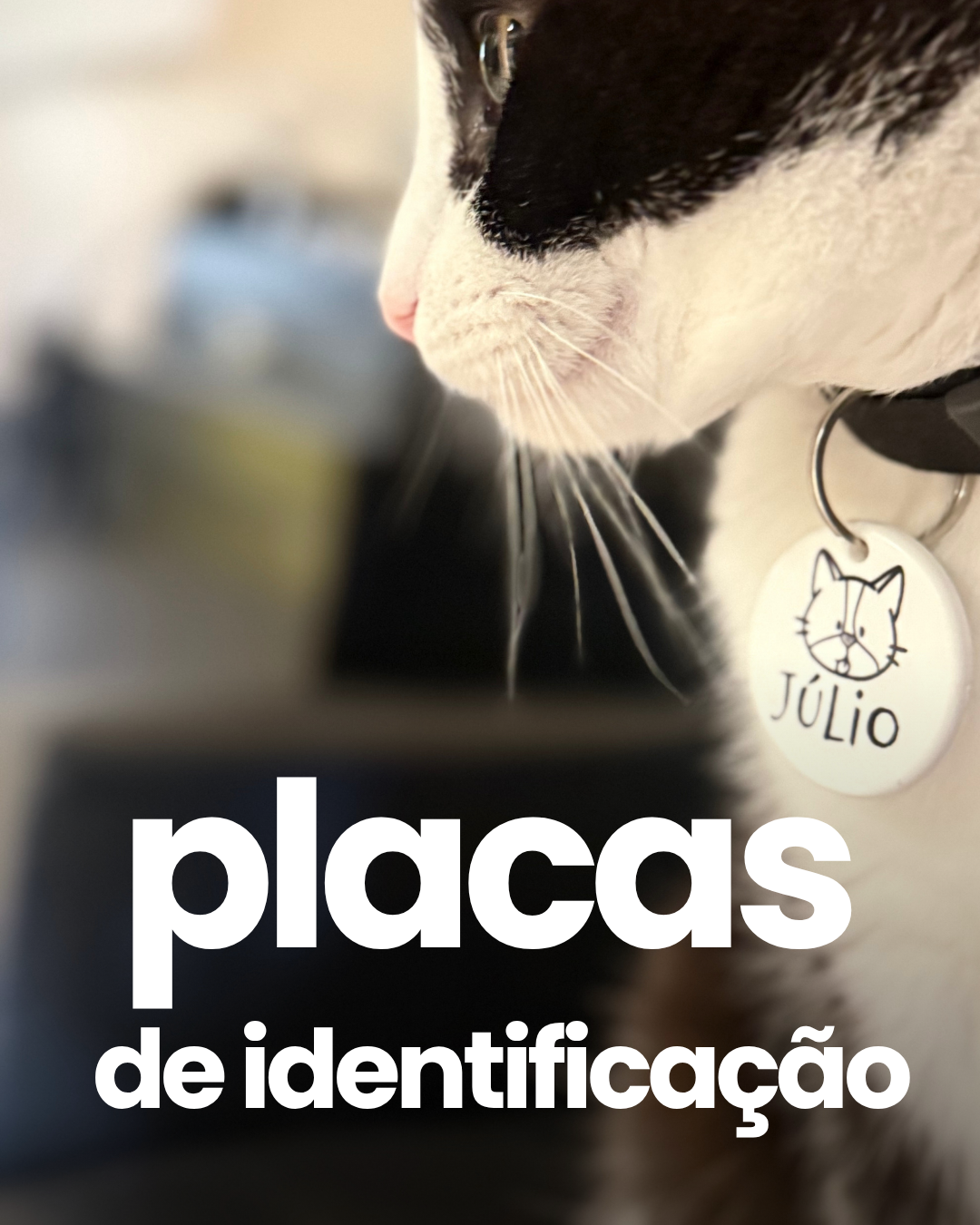Banner Plaquinhas