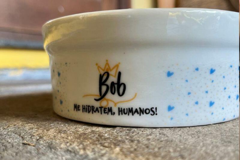�gua: Um dos Segredos para a Sa�de e Bem-estar do Seu Pet!