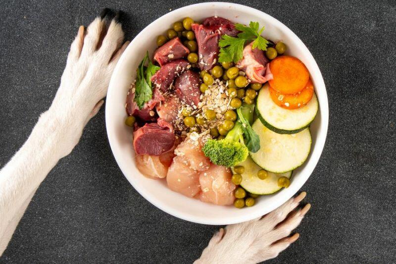 Alimenta��o Natural para Seu Pet: Mais Sa�de, Energia e Bem-Estar