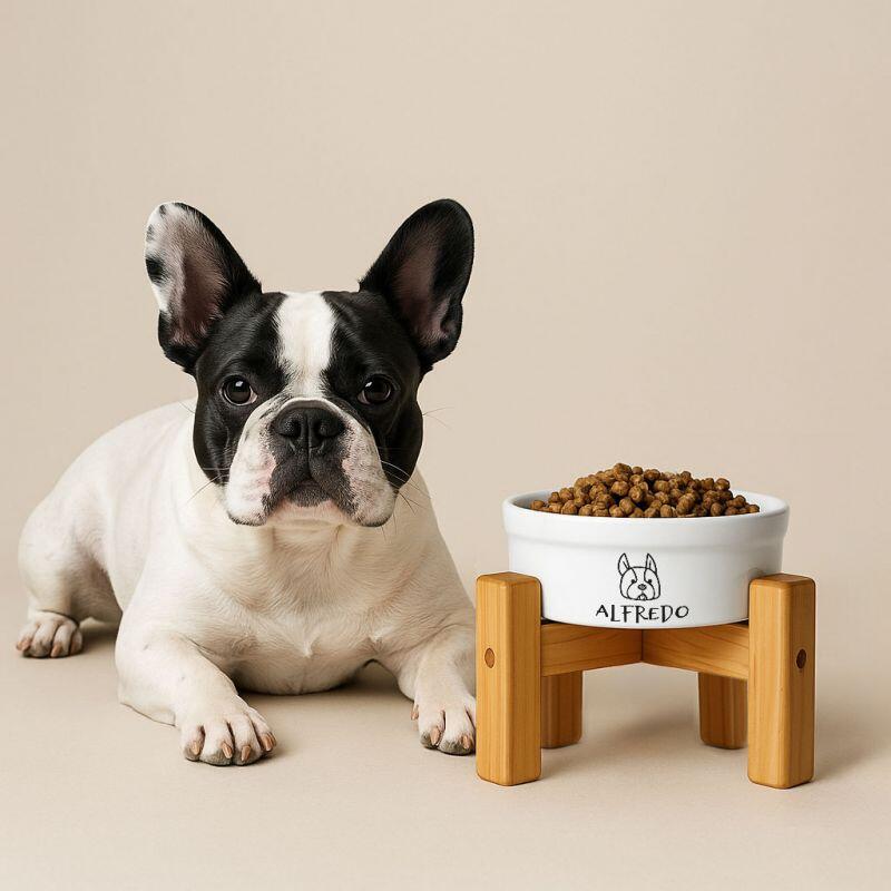 5 curiosidades sobre o Buldogue Franc�s que v�o conquistar seu cora��o