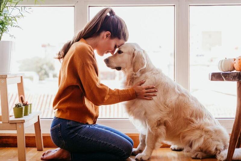 Presentes para M�es de Pets