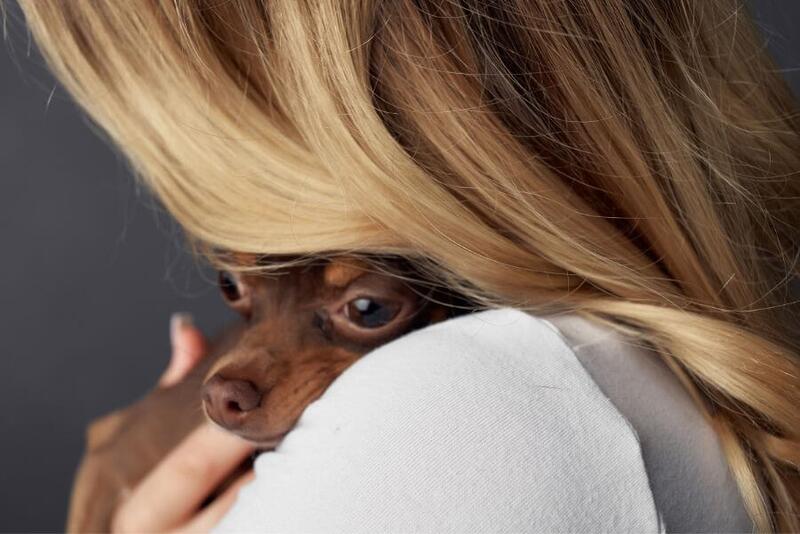 M�e e Pai de Cachorro, a ci�ncia explica esse amor!