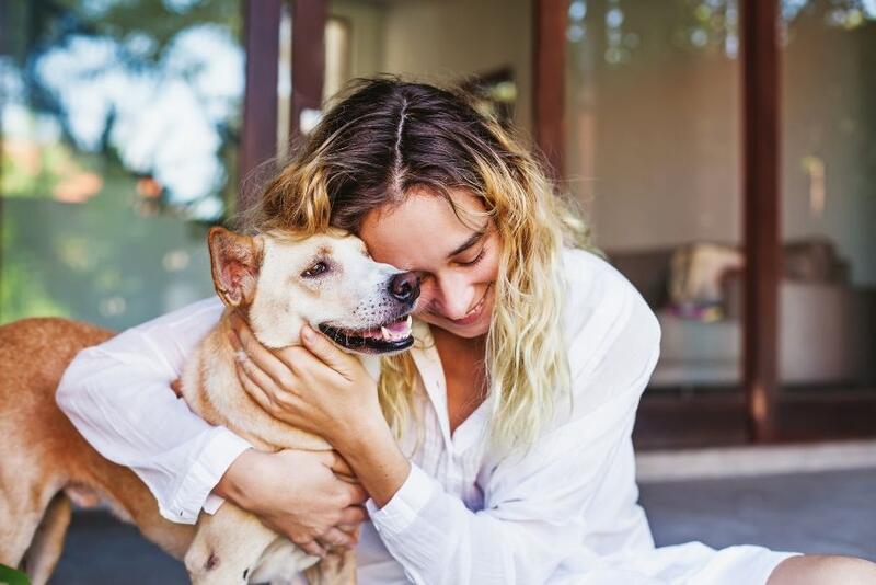 Sugest�es de Presentes para M�es de Pets