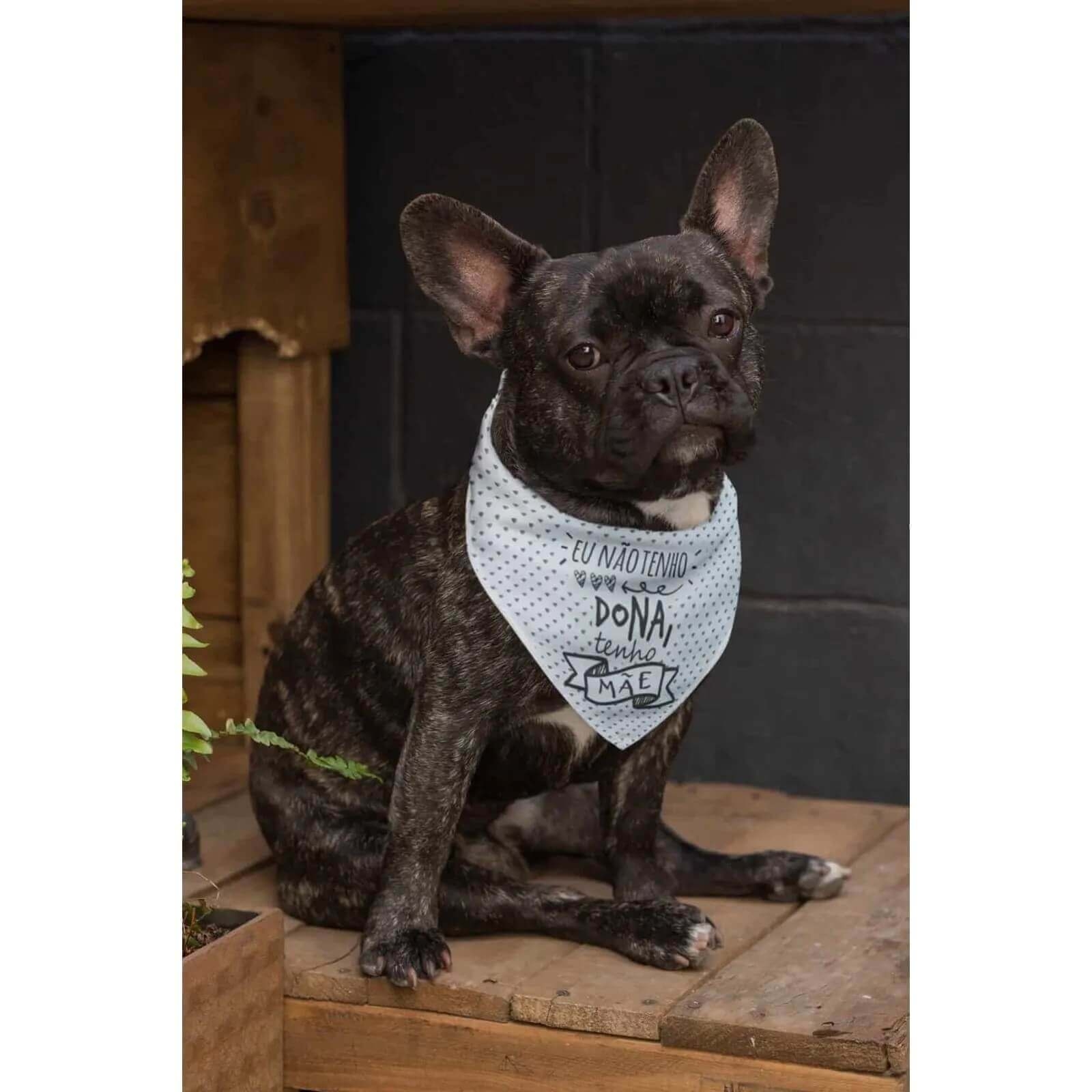 Bandana Para Pets Eu Não Tenho Dona Tenho Mãe