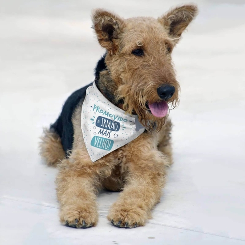 Bandana Para Cães e Gatos Promovido a Irmão Mais Velho