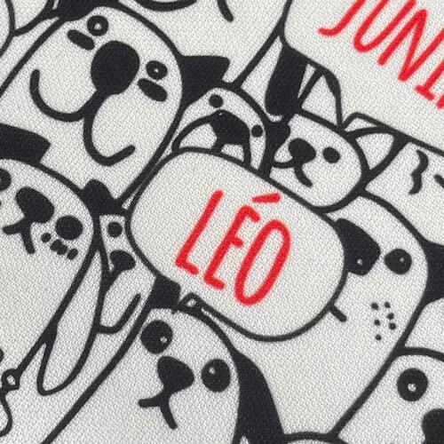 Lixeira para carro Personalizada Bicharada - Com os Nomes dos Seus Pets
