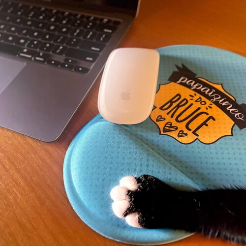 Mouse Pad Personalizado Papaiz�neo de Pet - Pai de C�o ou Gato