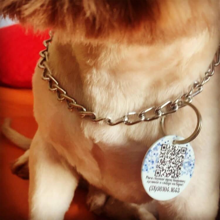 Kit 2 Placas de Identificação com QR Code e Telefone - Corações Rosas e/ou Azuis
