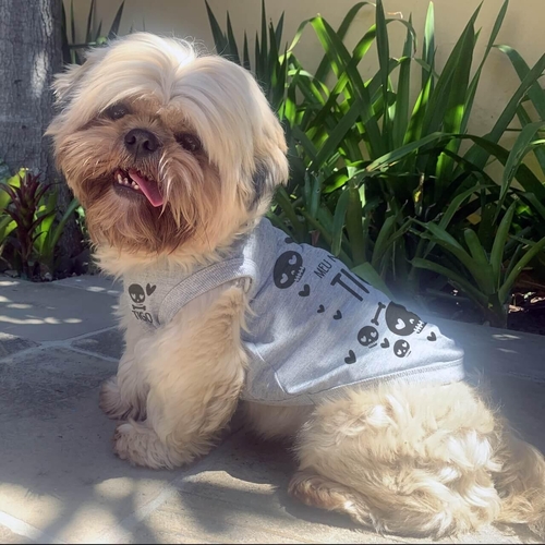 Roupa para Pet Personalizada - Com Apelidos Com QR Code