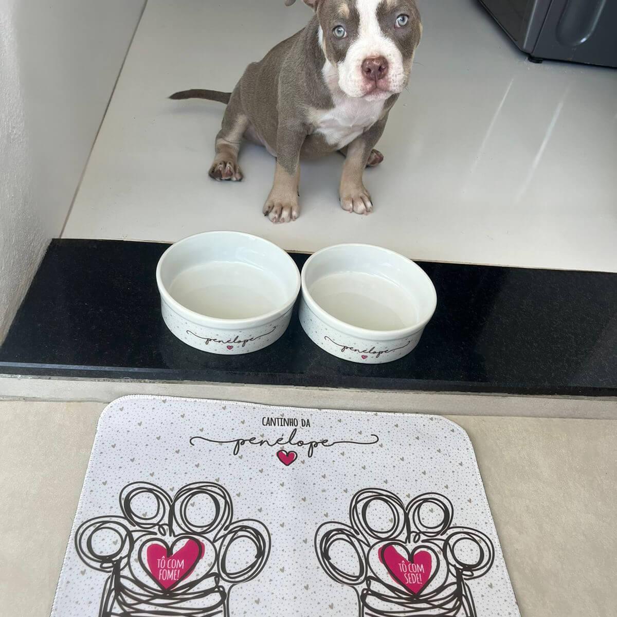 Kit Comedouro e Bebedouro de Cerâmica com Nome do Pet - Coleção Patinha