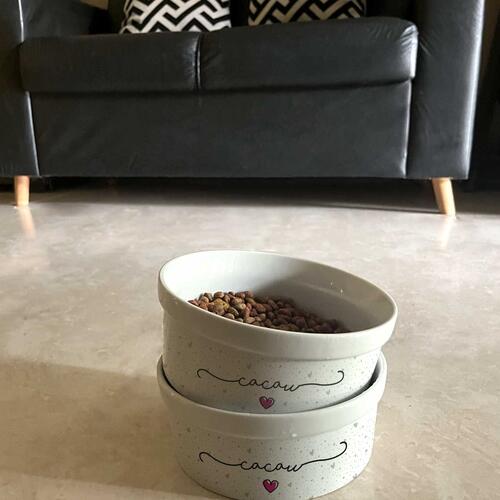Kit Comedouro e Bebedouro de Cerâmica com Nome do Pet - Coleção Patinha